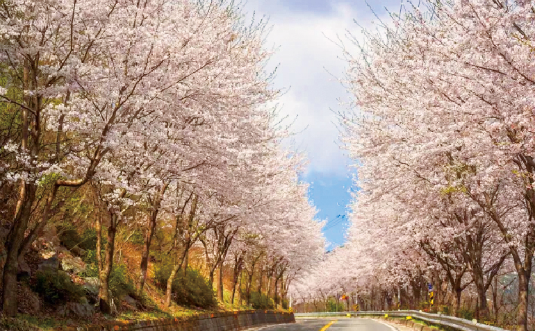 의령 한우산 드라이브 코스 전경