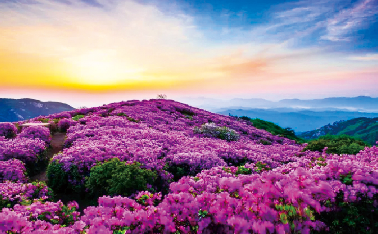 산청·합천 황매산 전경
