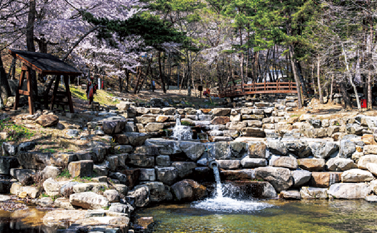 합천 오도산 자연휴양림